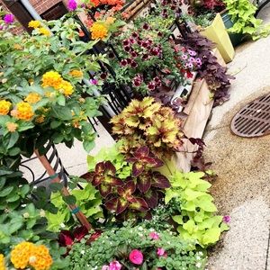 Meet your Posher, Claire